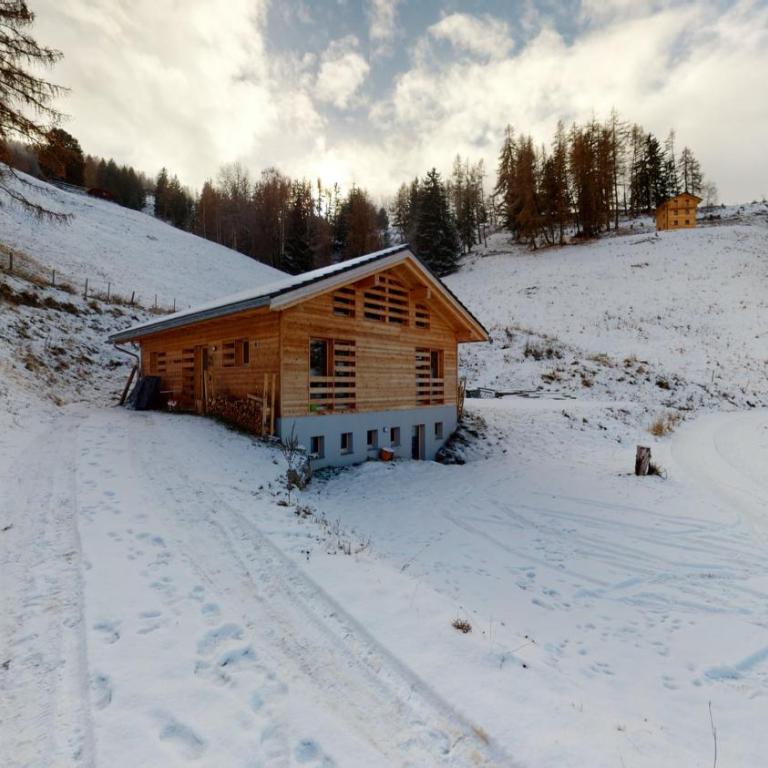 Modern chalet surrounded by nature in Vercorin - Chalet - 33