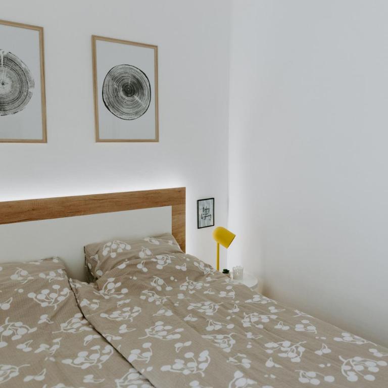 Apartman SREBRNA PAHULJA - One-Bedroom Apartment - 19