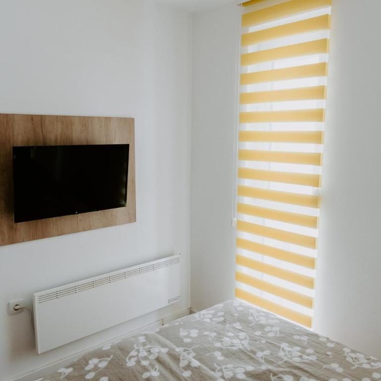 Apartman SREBRNA PAHULJA - One-Bedroom Apartment - 18