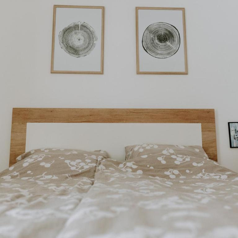 Apartman SREBRNA PAHULJA - One-Bedroom Apartment - 17