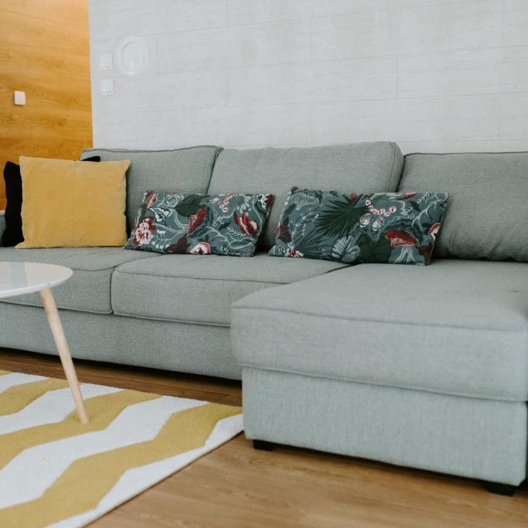 Apartman SREBRNA PAHULJA - One-Bedroom Apartment - 13