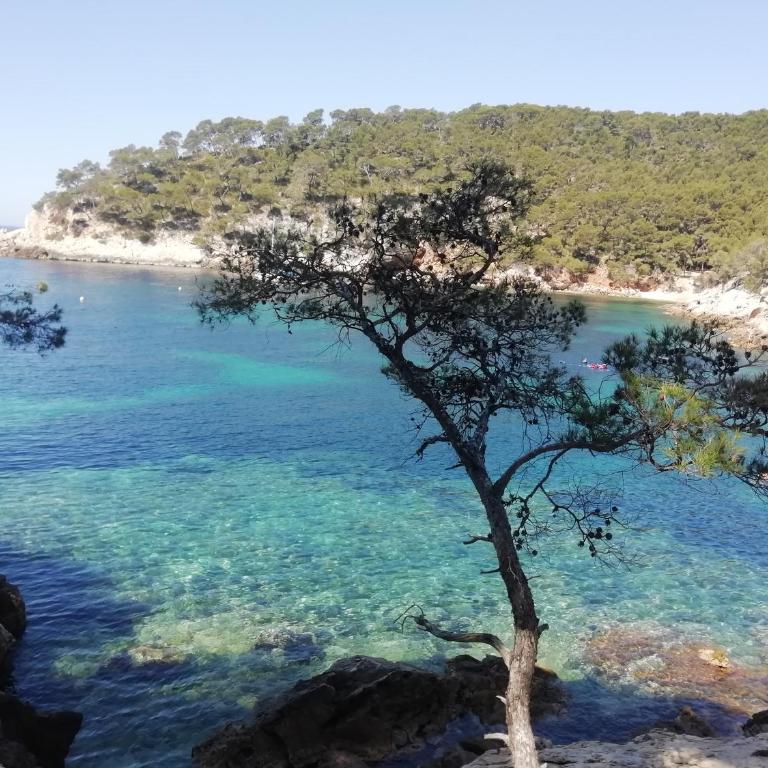 Petit coin de paradis. - Casa con 1 Camera da Letto - 1