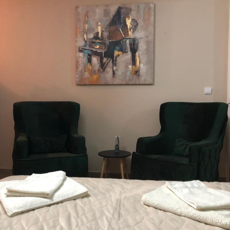 Apartman Ambijent Divcibare - Deluks Studio sa Queen Krevetom - 26