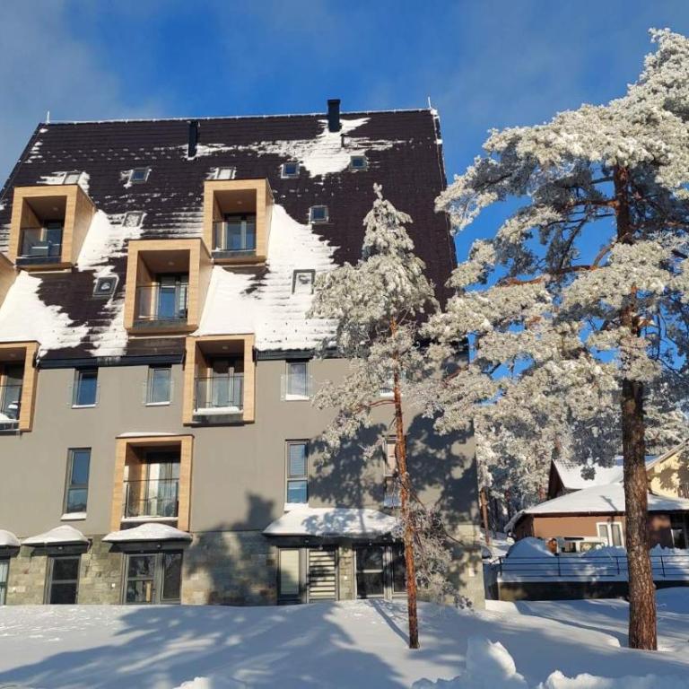 Apartman Planinski san Divčibare - Apartman sa 1 Spavaćom Sobom - 10