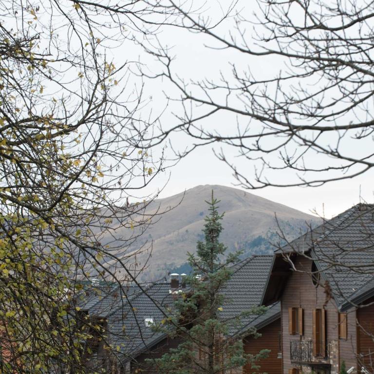 Dušan lux Palisad Zlatibor 1000 - Two-Bedroom Apartment - 20