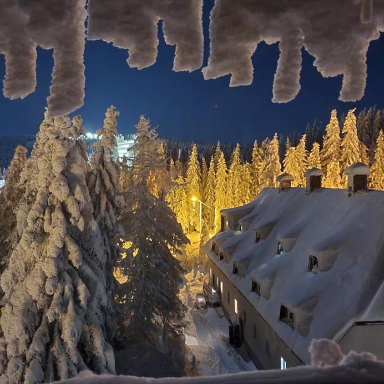 Apartman Gvozdac, Župa - Kopaonik - Apartman sa 1 Spavaćom Sobom - 31