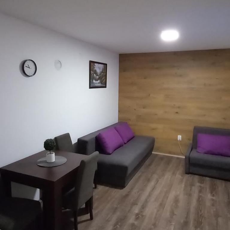 Apartman Narcis Polje - Studio Apartman - 3