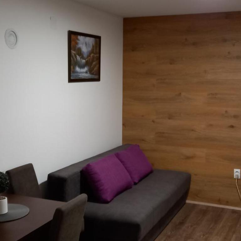 Apartman Narcis Polje - Studio Apartman - 4