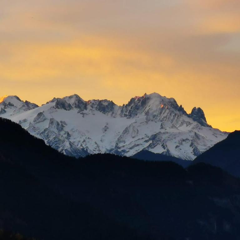 Le Bristol - Villars Bristol Apartments - Studio für 2 Personen mit Aussicht und Balkon 328C - 13