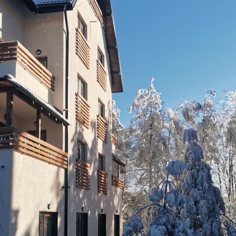 Apartman Pinewood Divcibare - One-Bedroom Apartment - 23
