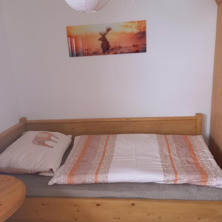 Ferienwohnungen Mooshäusl - Apartment mit Blick auf die Berge - 15
