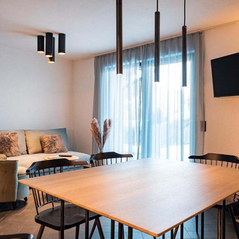 APART HERZOG - URBAN LUXURY LIFESTYLE direct at Steinbergpiste and Steinbergbahn - Apartamento - Planta baja - 32