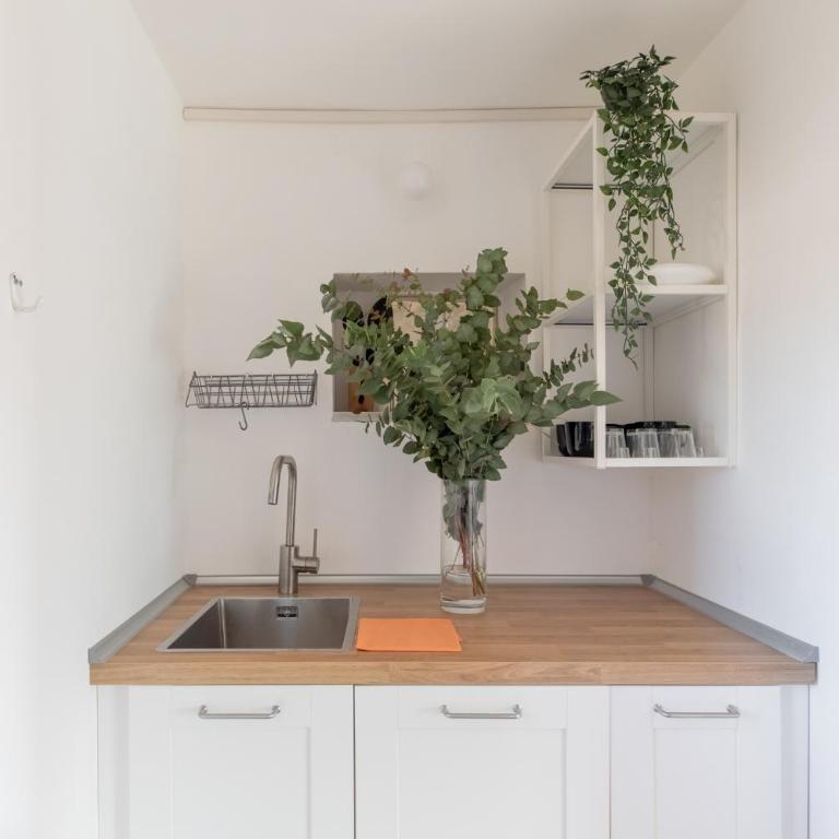 iFlat Penthouse overlooking Rome - Two-Bedroom Apartment - 27