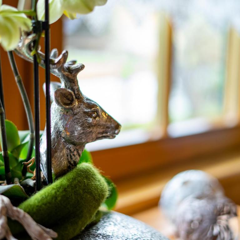 Biobauernhof Tonimörtl - Studio-Apartment - 1