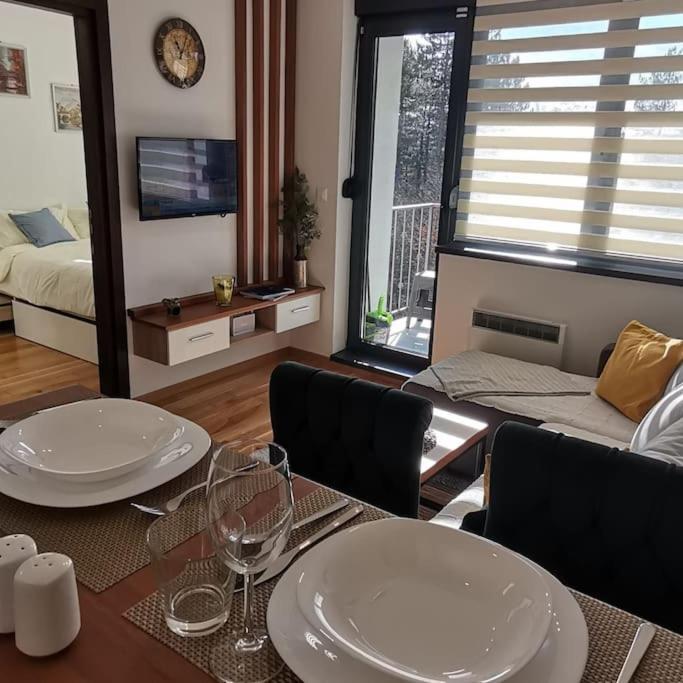 Zlatni Bor Apartment - Apartman sa 1 Spavaćom Sobom - 10