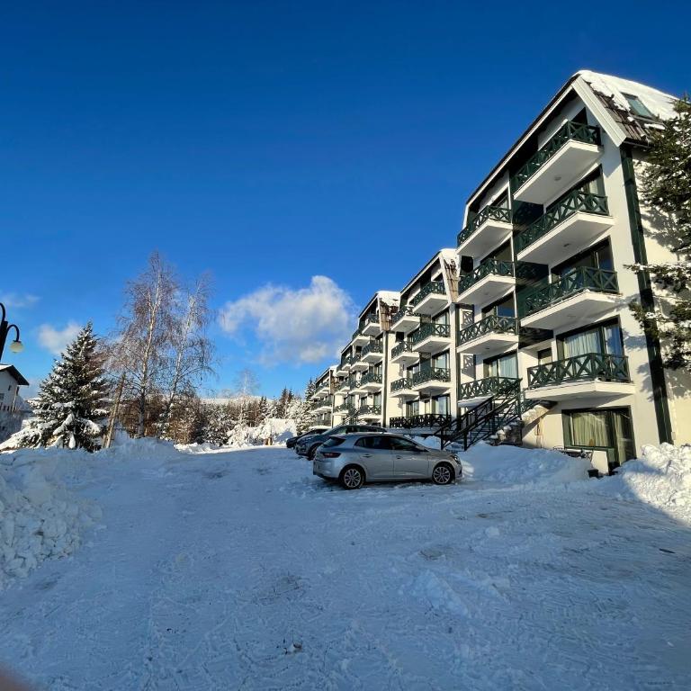 Pano Kopaonik Panorama - One-Bedroom Apartment - 60