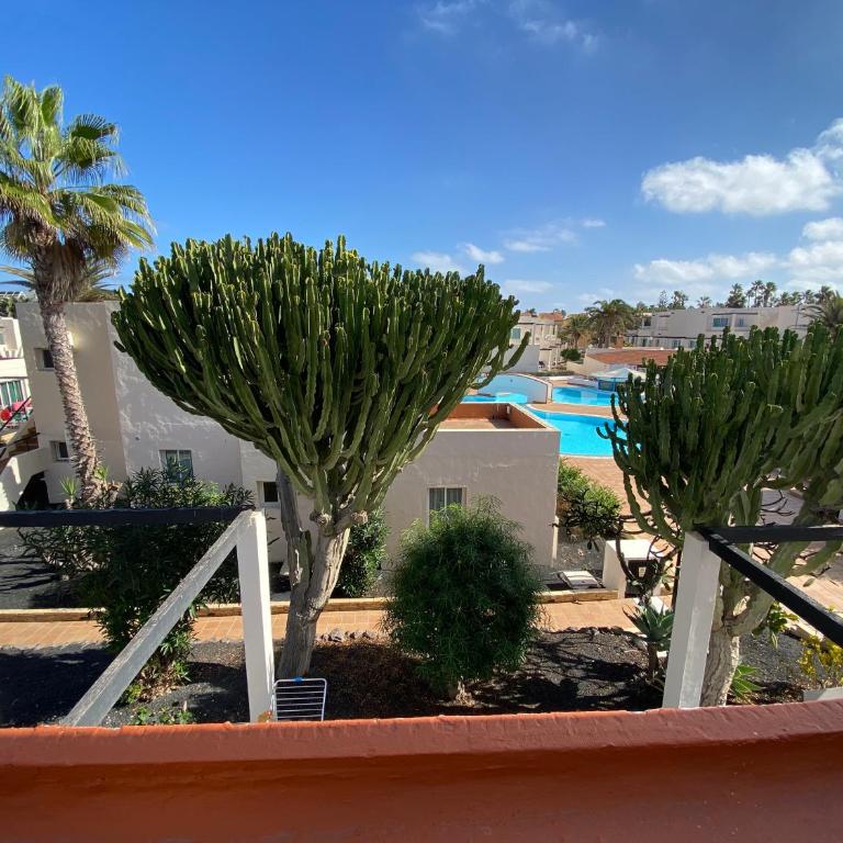 La Marina - Apartamento de 1 dormitorio - 12