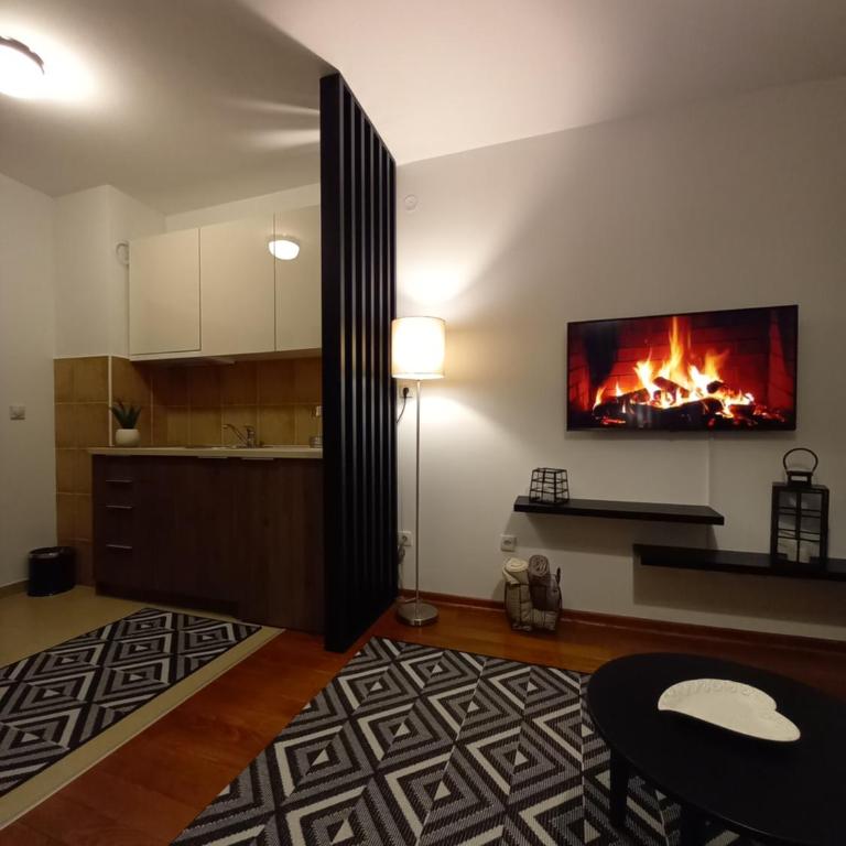 Studio Diamondlux Vrnjačka Banja - One-Bedroom Apartment - 17