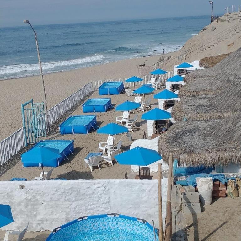 Hamacas - Bungalow - Beach Front - 4