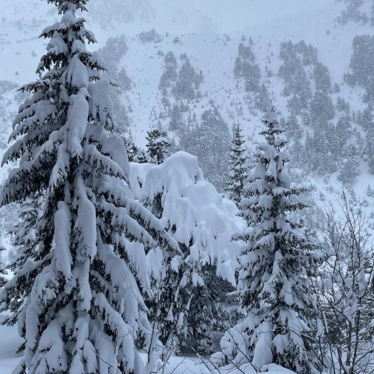 Spacious ski-in ski-out renovated apartment 4-6 pax, 161 Sources de Marie Arc 1950 - Appartement 2 Chambres - 32