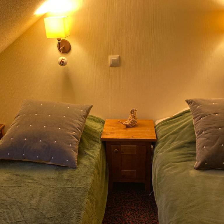 Le Refuge de L'alpaga Superbe duplex au pied des pistes avec Parking couvert gratuit - Appartement 2 Chambres - 13