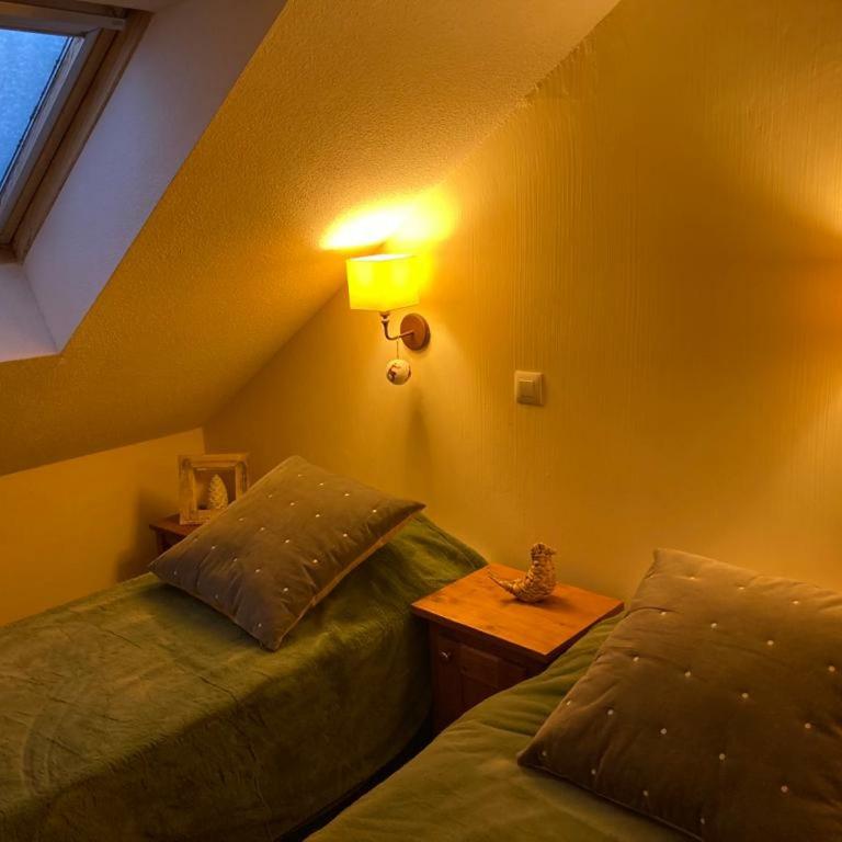 Le Refuge de L'alpaga Superbe duplex au pied des pistes avec Parking couvert gratuit - Appartement 2 Chambres - 12