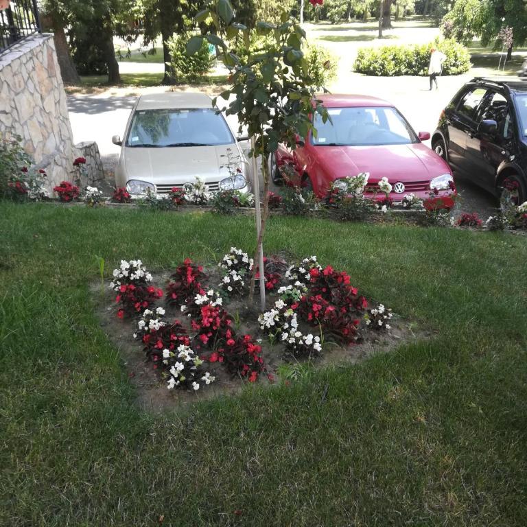 Apartman 2M Lux - Apartman sa 1 Spavaćom Sobom - 49