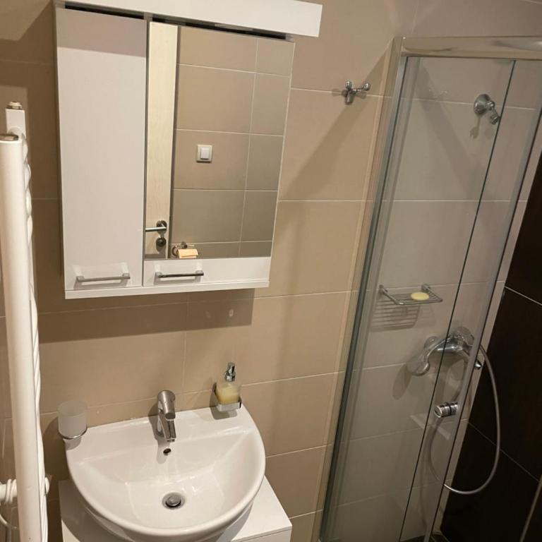 MBC - Zupa Wellness & Spa, Kopaonik, Serbia - Apartman sa 1 Spavaćom Sobom - 10