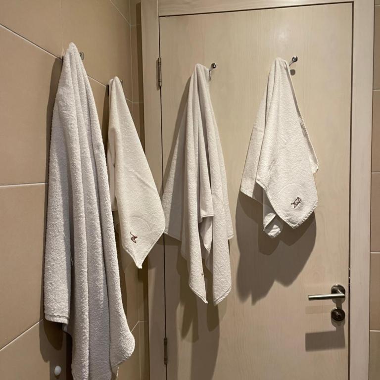MBC - Zupa Wellness & Spa, Kopaonik, Serbia - Apartman sa 1 Spavaćom Sobom - 13