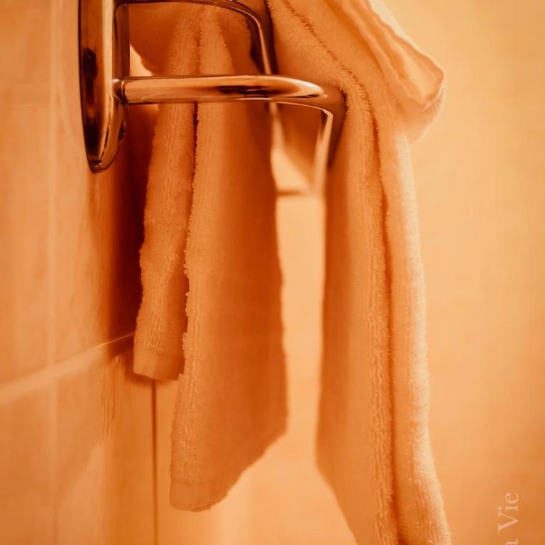 Grand Hotel De La Poste - Lyon Sud - Vienne - Petite Chambre Double (1 Personne) - 1