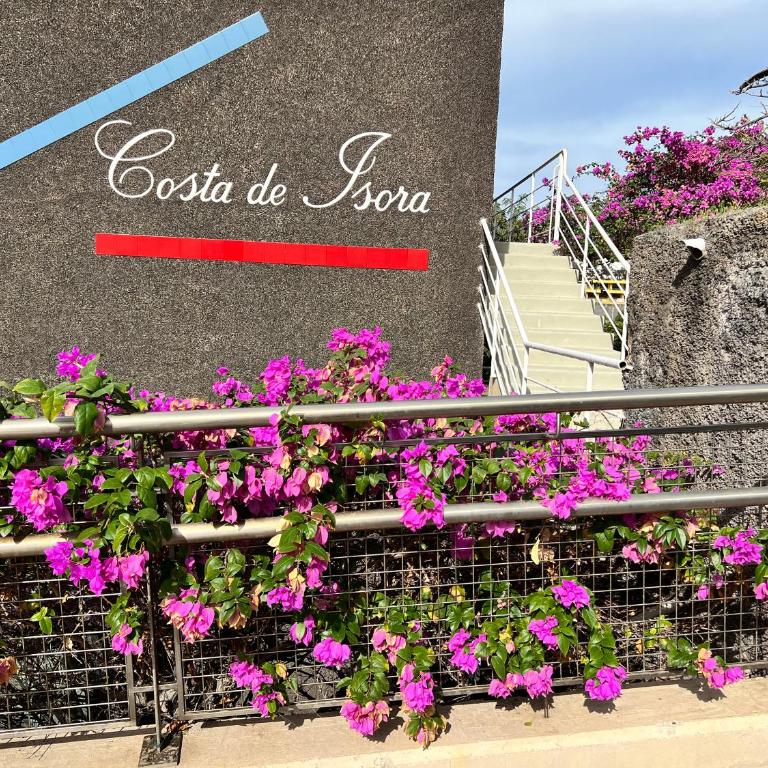 Costa Isora 18 - One-Bedroom Apartment - 29