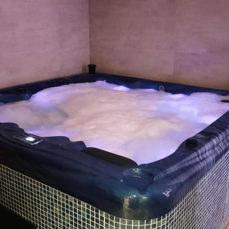 Per silvas apartman i spa - Apartman sa 1 Spavaćom Sobom - 31