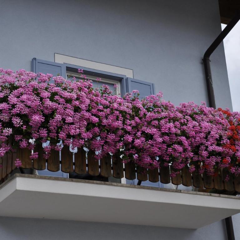 Casa Tania - Apartment mit 3 Schlafzimmern - 32