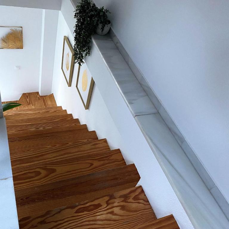 Apartamento Ha-Malaqui - Apartamento Deluxe - 13