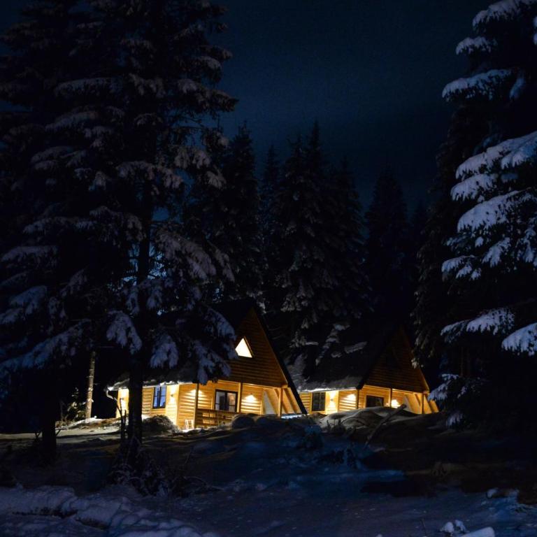 Gorske Vile Jahorina - Two-Bedroom House - 1