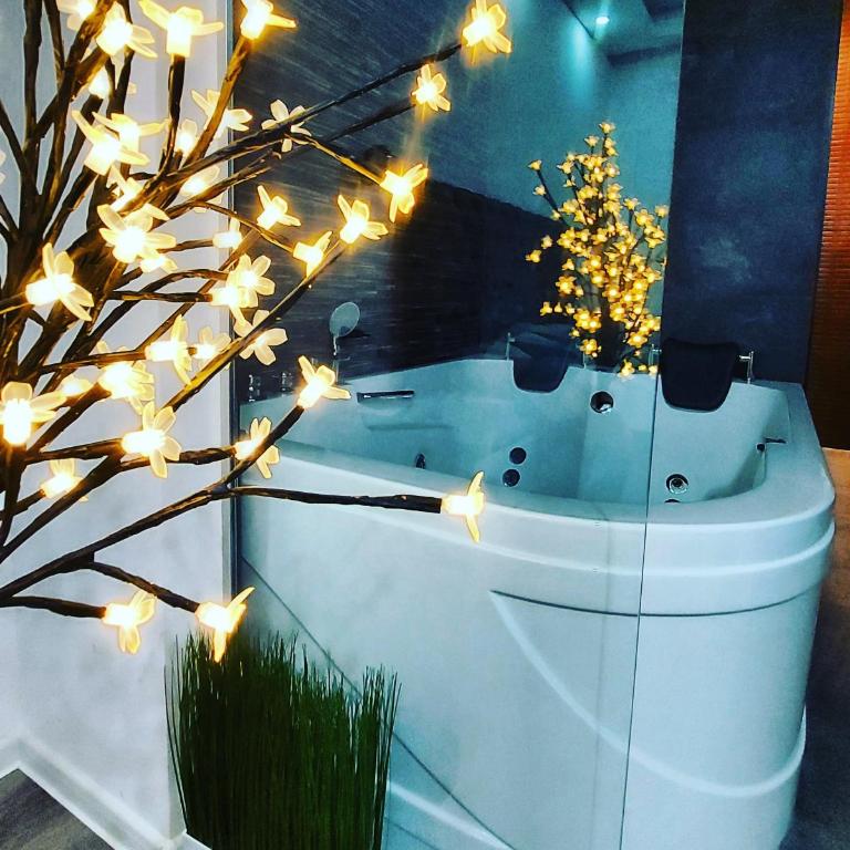 Stars lux room - Apartman sa 1 Spavaćom Sobom - 3