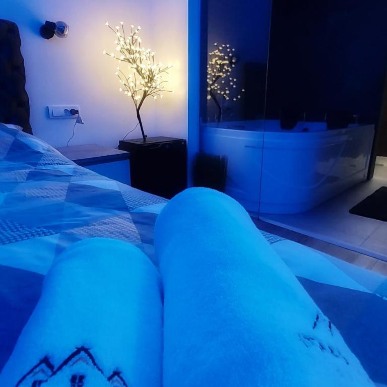 Stars lux room - Apartman sa 1 Spavaćom Sobom - 4
