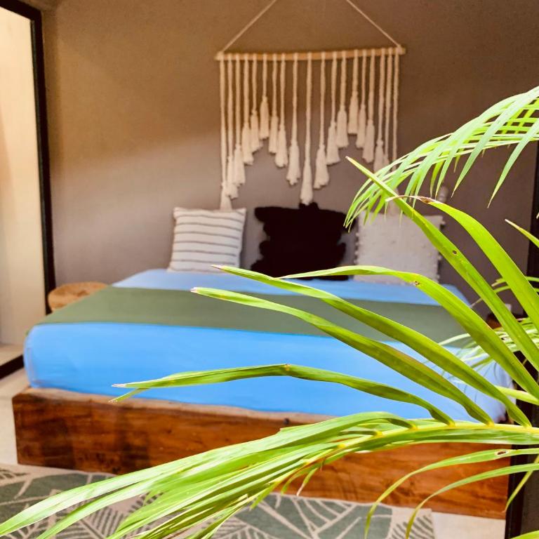 Vida Jungle Apart 1 with special fee to access Hotel Bardo - Apartamento de 1 dormitorio - 3