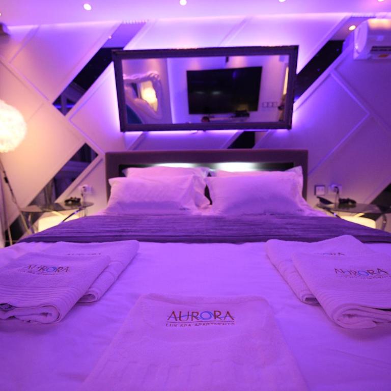 Aurora Lux Spa Smart apartments - Apartman sa 1 Spavaćom Sobom - 4