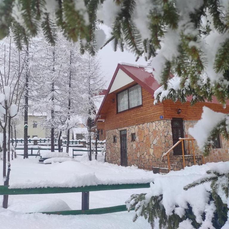 LARIX DURMITORES Apartments - One-Bedroom Apartment - 1