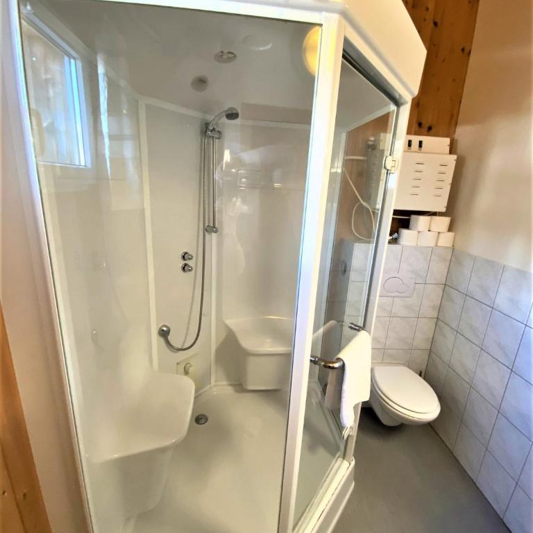 EXCLUSIVES Chalet an der SKIPISTE +Dampfbad +NETFLIX - Chalet - 9