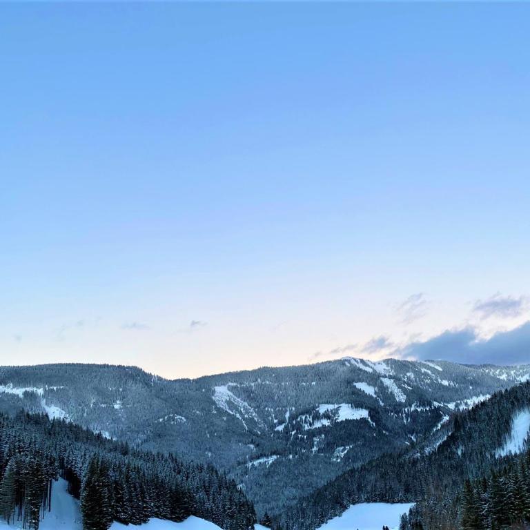 EXCLUSIVES Chalet an der SKIPISTE +Dampfbad +NETFLIX - Chalet - 24