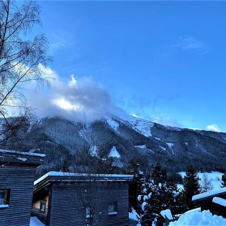 EXCLUSIVES Chalet an der SKIPISTE +Dampfbad +NETFLIX - Chalet - 25