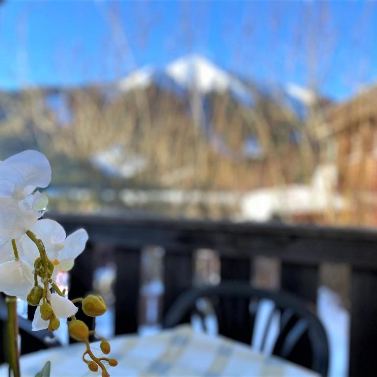 EXCLUSIVES Chalet an der SKIPISTE +Dampfbad +NETFLIX - Chalet - 59