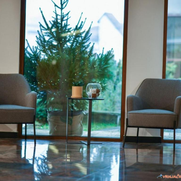 Apolon Spa - Apartman sa Pogledom na Planinu - 6