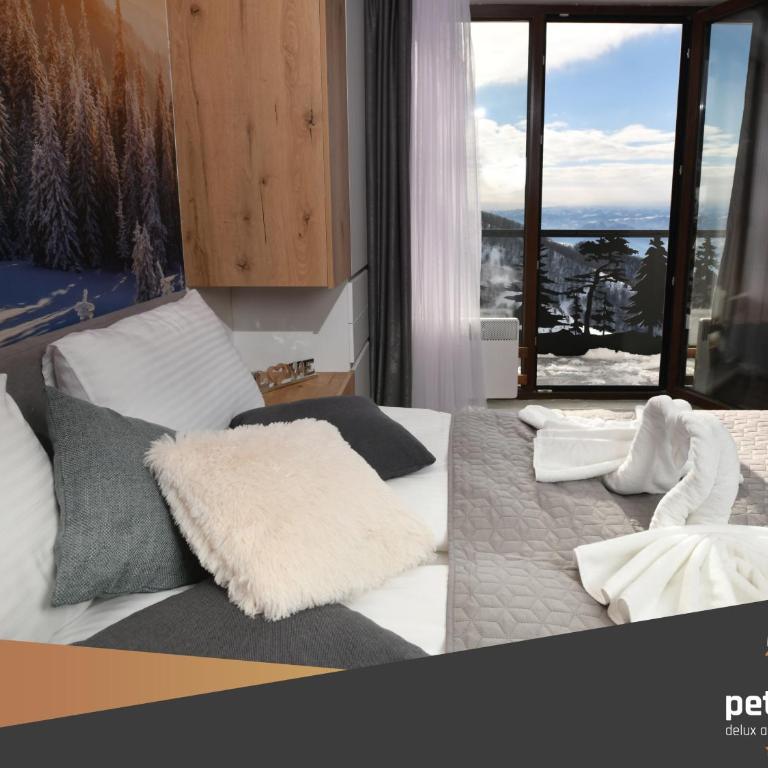 Apartman PETICA KOP A8 Kopaonik - King Studio with Sofa Bed - 10