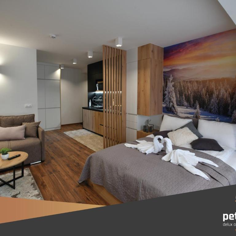 Apartman PETICA KOP A8 Kopaonik - King Studio with Sofa Bed - 4