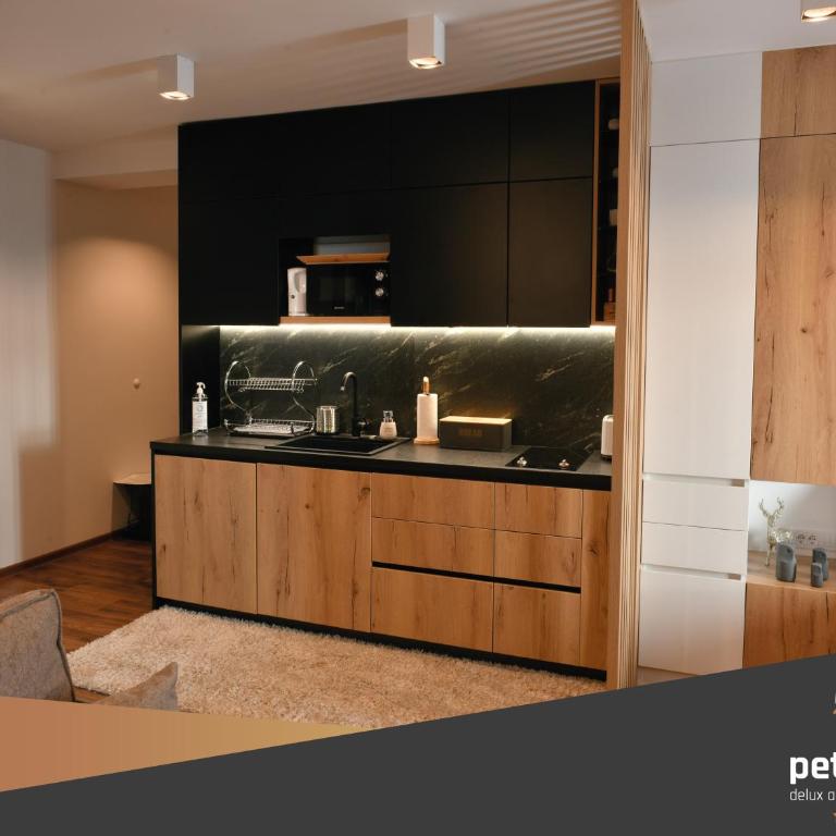 Apartman PETICA KOP A8 Kopaonik - King Studio with Sofa Bed - 12