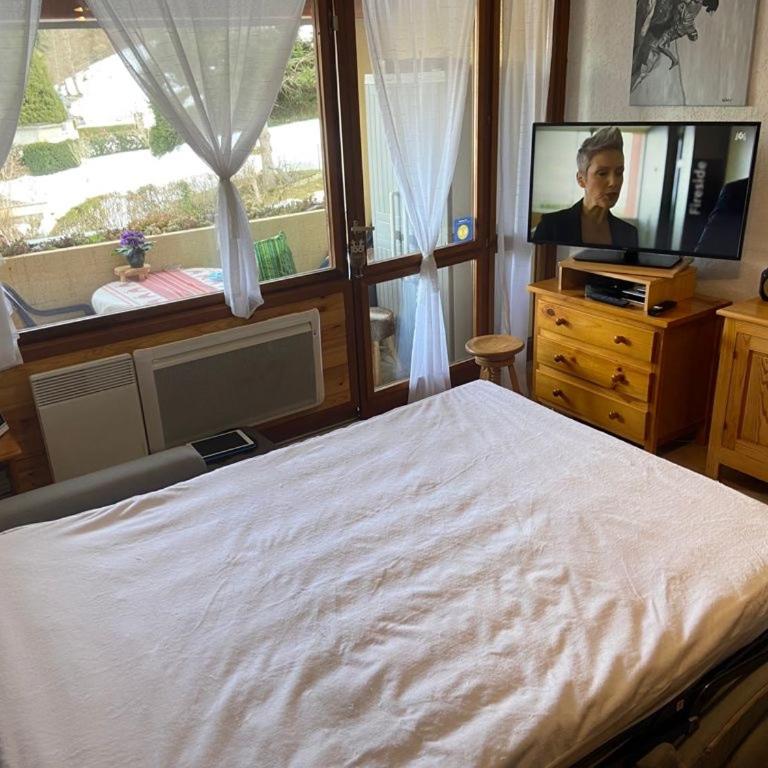 Appartement vue montagne avec wifi - Apartamento - 14