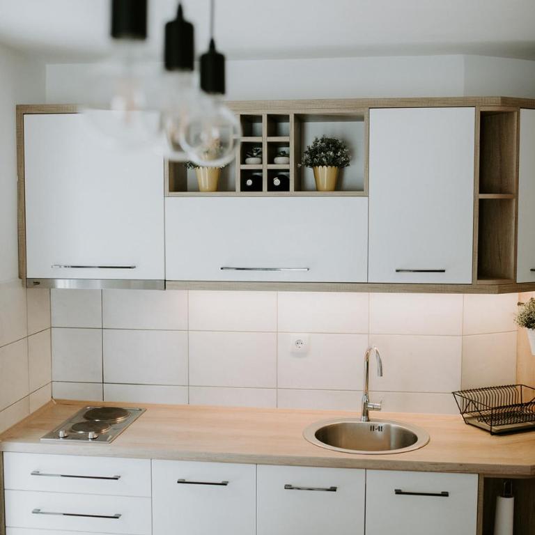 Apartman SREBRNA PAHULJA - One-Bedroom Apartment - 4